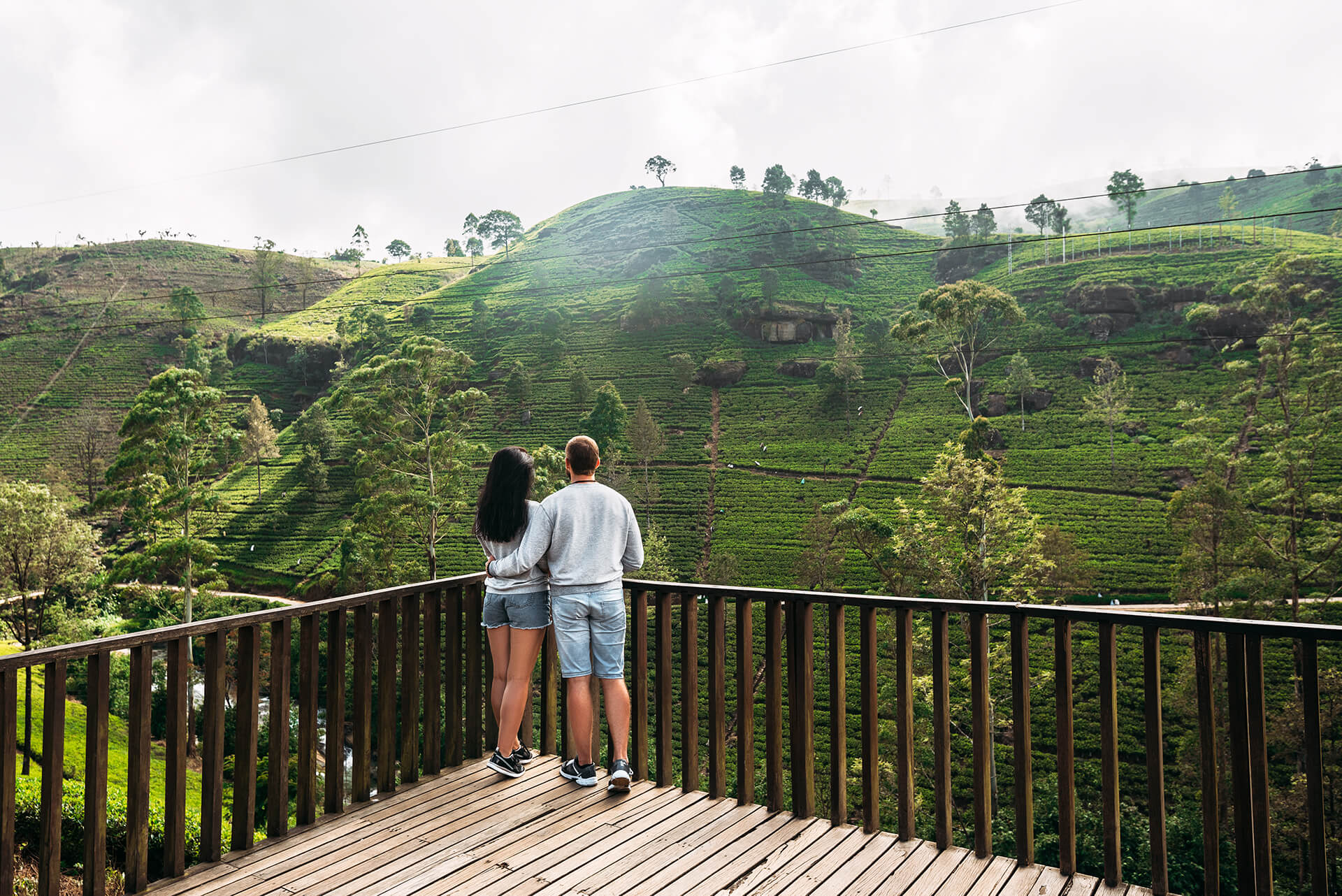 couple-in-love-at-tea-plantation-travel-to-sri-la-2023-11-27-04-51-28-utc